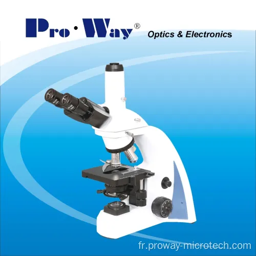 40x-1000x Seidentopf Binoculaire Microscope biologique 300